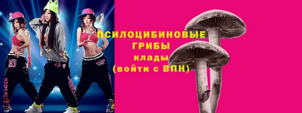 mdpv Алексин