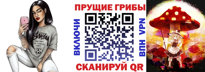 Псилоцибиновые грибы Magic Shrooms  где найти   Циолковский 